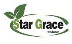 Star Grace