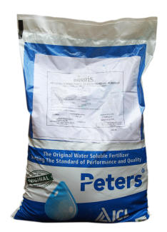 PETERS PROFESSIONAL 20-20-20